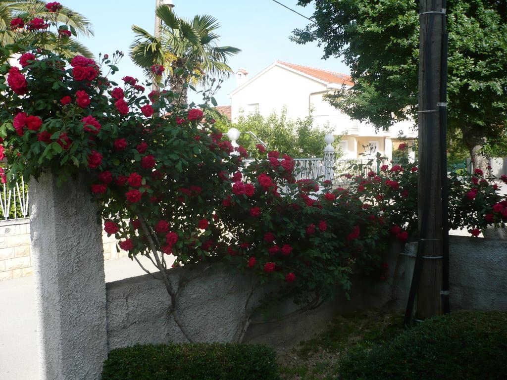 זאדאר Rose Apartment חדר תמונה